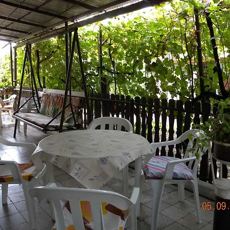 In - Balaton 18183 *